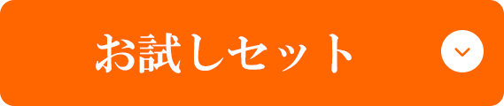 お試しセット
